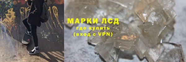 гидра Гусиноозёрск