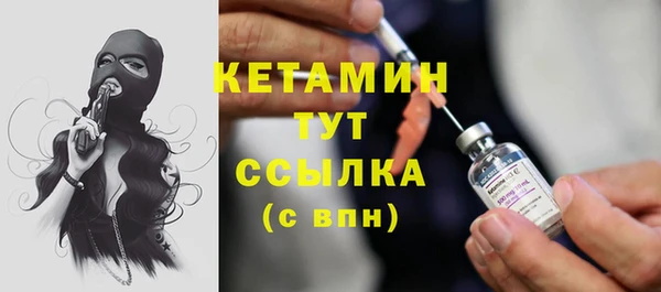 гидра Гусиноозёрск