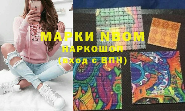 гидра Гусиноозёрск