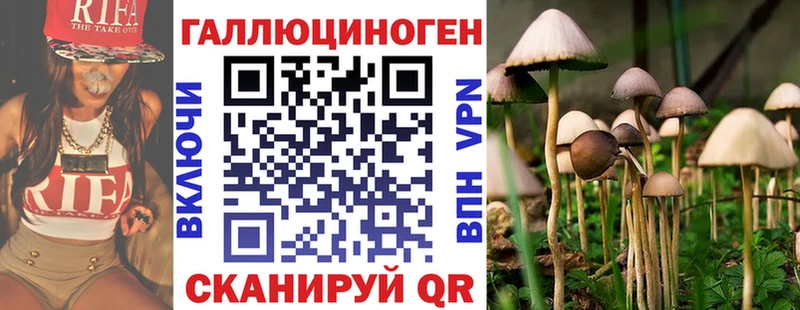Купить закладки  Бирюч  Галлюциногенные грибы прущие грибы 